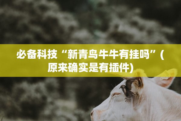 必备科技“新青鸟牛牛有挂吗”(原来确实是有插件)