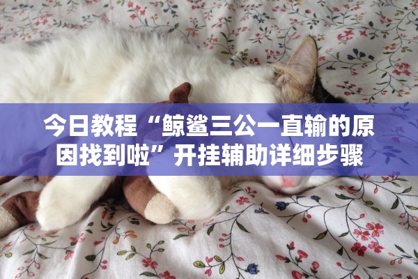 今日教程“鲸鲨三公一直输的原因找到啦”开挂辅助详细步骤