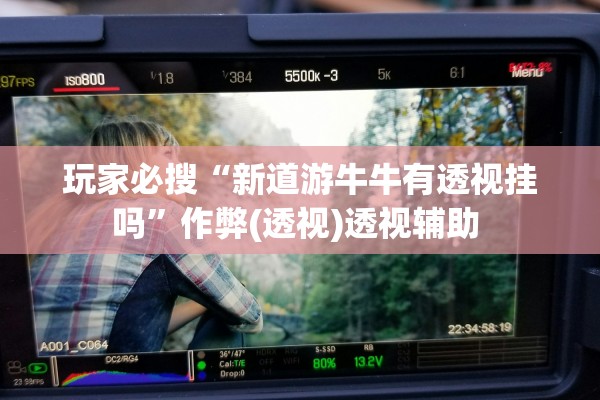 玩家必搜“新道游牛牛有透视挂吗”作弊(透视)透视辅助 